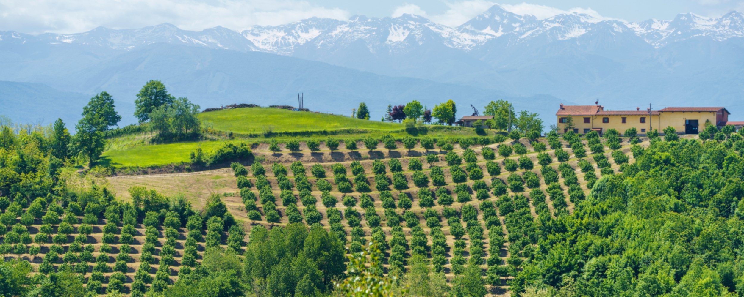 Scenic farm landscape